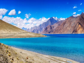 leh ladakh